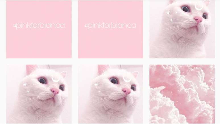 A hashtag #PinkForBianca foi criada para combater a propagação das fotos de Devins