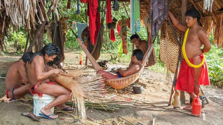 Ningu&eacute;m esperava que, tantos anos depois, surgisse novamente o pesadelo das invas&otilde;es de garimpeiros, disse professora da USP