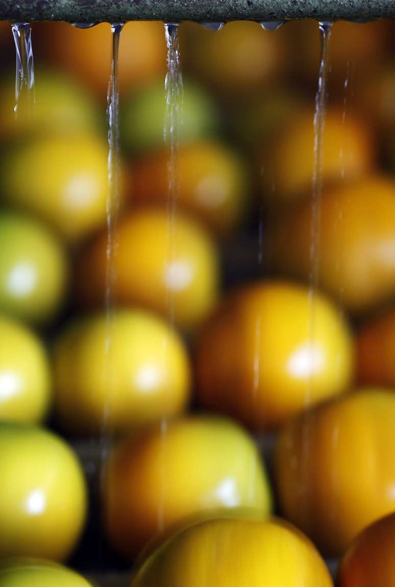 Laranjas s&atilde;o lavadas em uma fazenda em Limeira (SP) 
13/01/2012
REUTERS/Paulo Whitaker