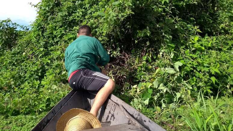 Moradores da regi&atilde;o enxergam as cobras aglomeradas como um perigo em potencial