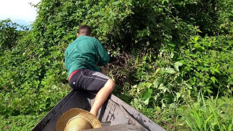 Moradores da região enxergam as cobras aglomeradas como um perigo em potencial