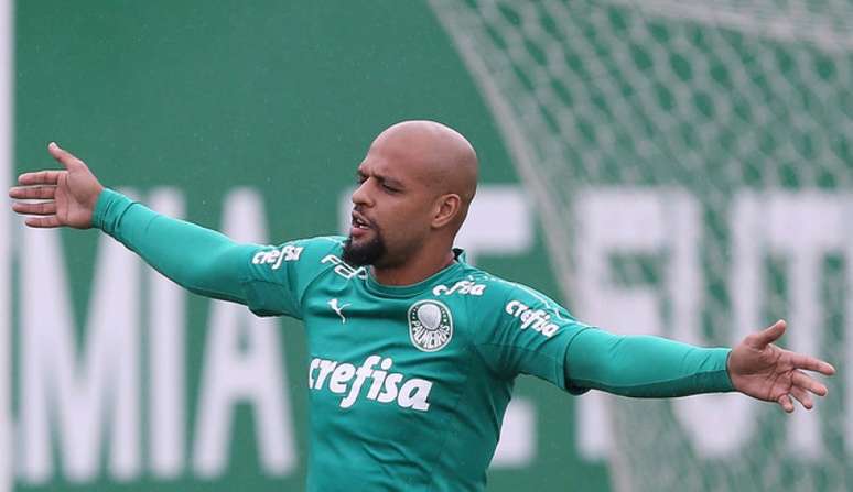 Felipe Melo declara amor ao Palmeiras e tem a Libertadores como desejo neste ano (Agência Palmeiras/Divulgação)