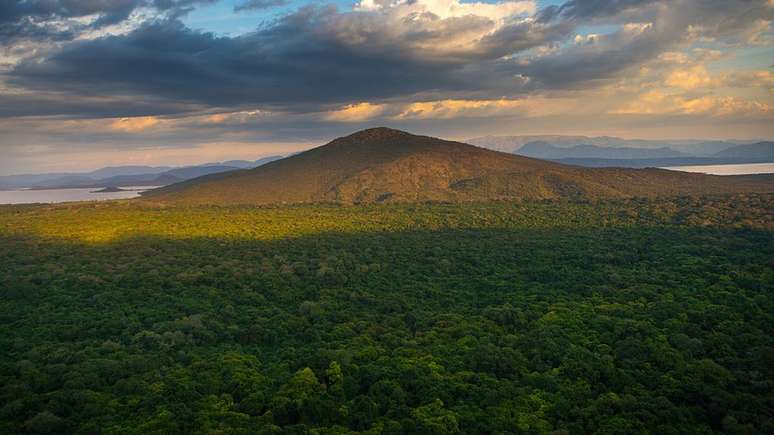 Nos anos 2000, a Etiópia tinha apenas 4% de cobertura florestal