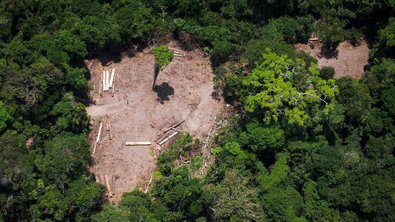 Há menos de 10 anos, o Brasil era visto como líder na proteção ambiental