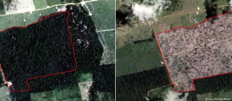 Imagens de satélite mostram avanço do desmatamento entre novembro de 2018 e março de 2019