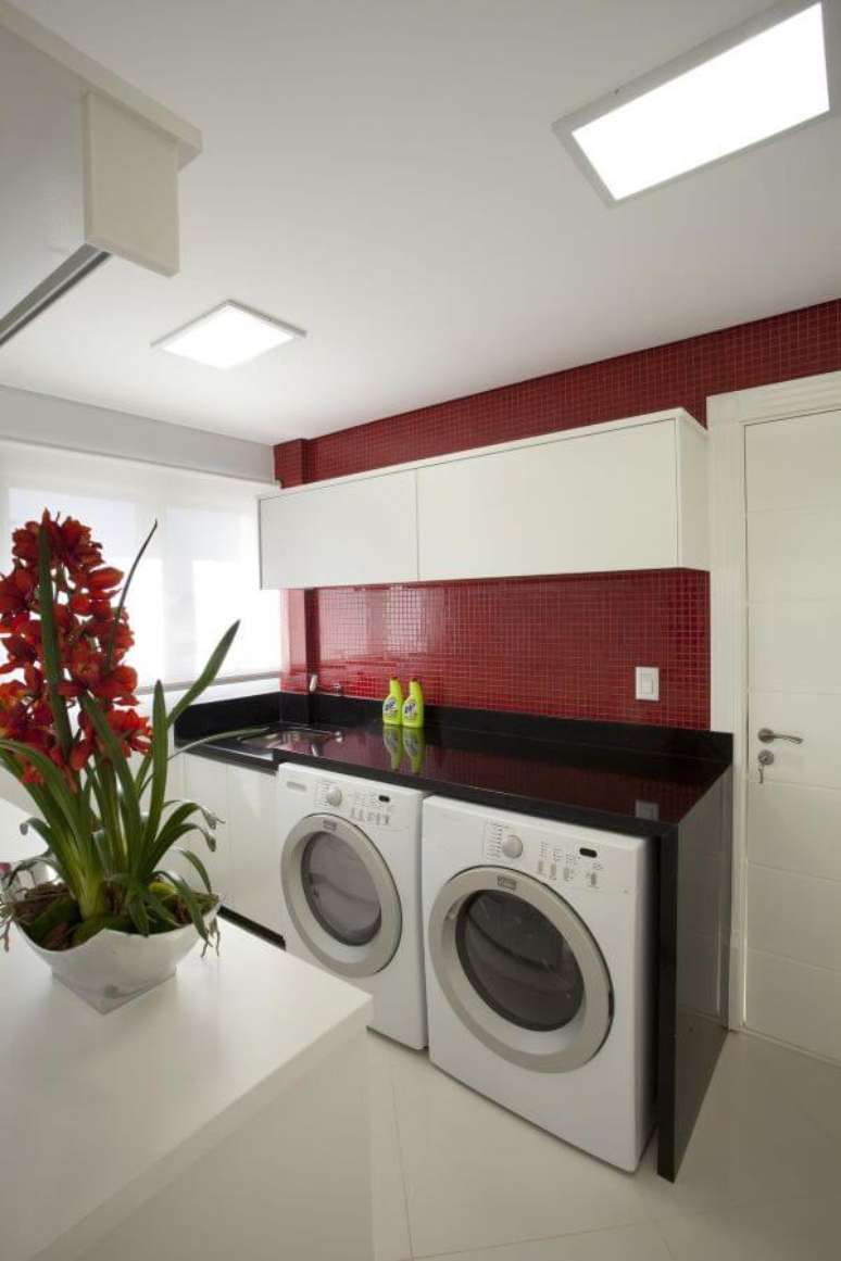 47. Conjunto de lavadora de roupas em lavandeira colorida &ndash; Por: Aquiles Nicol