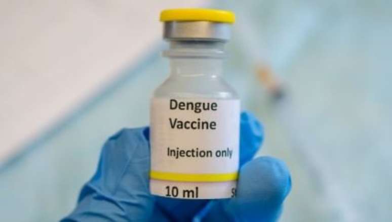 Vacina contra dengue está em fase final no Brasil - Foto: Shutterstock