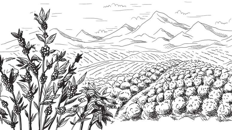 'A maior parte [dos estrangeiros] vinha na expectativa de possuir terras e fugir da fome. Quando chegam aqui e s&atilde;o jogados para trabalhar nos cafezais, passam por maus tratos', explica o historiador Ricardo Rugai