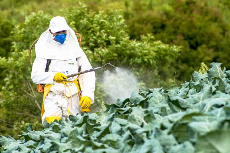 Borrifador manual de pesticidas