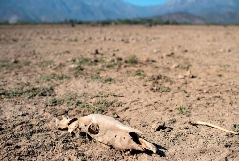 Desertificação está mudando a paisagem de vários países e pode causar o deslocamento de milhões de pessoas na próxima década