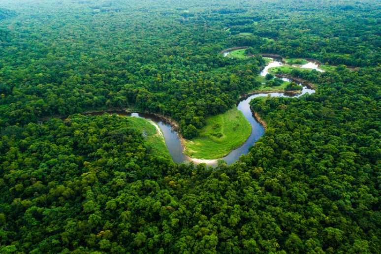 Floresta Amazônica.