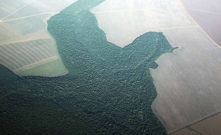 Vista área de área desmatada na Amazônia
20/04/2013
REUTERS/Nacho Doce