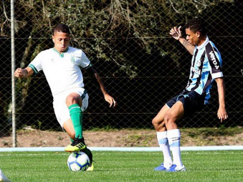 O time sub-20 do Coelho está na terceira posição no Brasileiro sub-20, faltando nove rodadas para o fim da primeira fase (Divulgação/Grêmio)