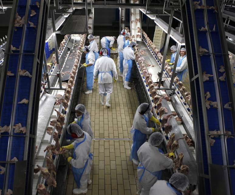 Processamento de carne de frango em frigorífico em Itatinga (SP) 
04/10/2011
REUTERS/Paulo Whitaker