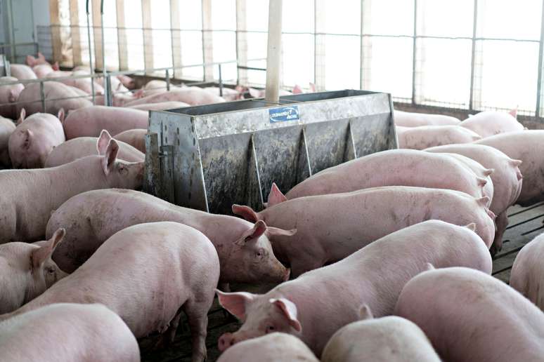 09/04/2018
REUTERS/Daniel Acker - RC110A691AA0