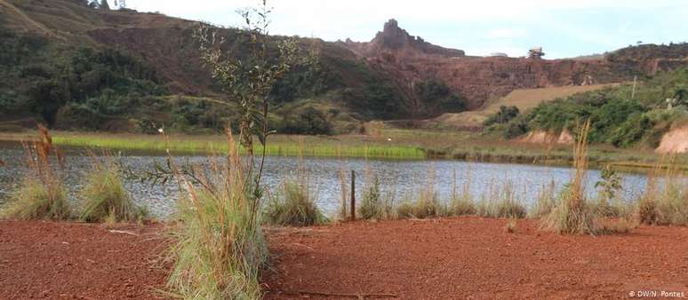 Vegetação cresce sobre trinca em barragem abandonada em Brumadinho