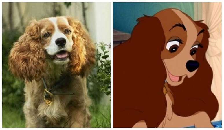 Veja os cães do live-action de 'A Dama e o Vagabundo