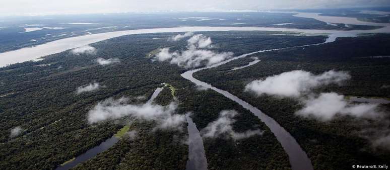 "Vários fatores estão agindo juntos numa espécie de energia negativa sobre a Amazônia", diz Lovejoy