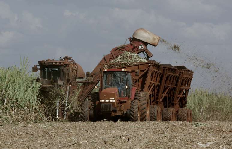 Colheita de cana-de-açúcar em lavoura da São Martinho em Pradópolis (SP) 
06/07/2007
REUTERS/Rickey Rogers