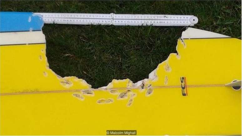 O tubar&atilde;o que atacou Hannah Mighall mordeu sua prancha antes de permitir que ela voltasse &agrave; superf&iacute;cie