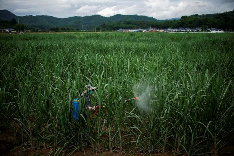 09/08/2019
REUTERS/Aly Song
