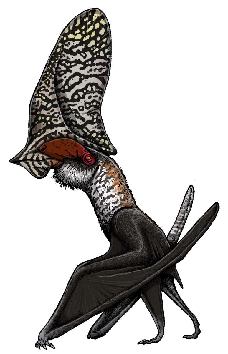 Caiuajara dobruskii, uma espécie menor de pterossauro, atingia cerca de 2,80 metros