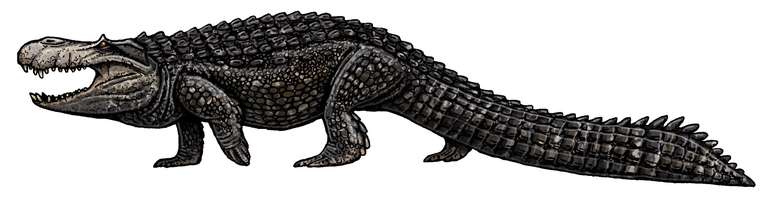 Purussaurus brasiliensis foi o maior jacaré que já existiu