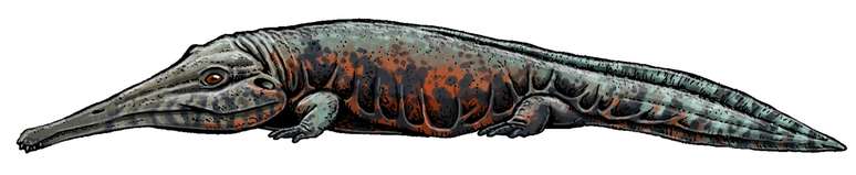 Prionosuchus plummeri viveu h&aacute; 270 milh&otilde;es de anos