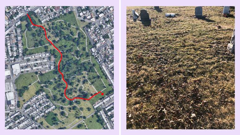 Sepultura an&ocirc;nima de Murray Hall no Cemit&eacute;rio Mount Olivet, em Queens, Nova York