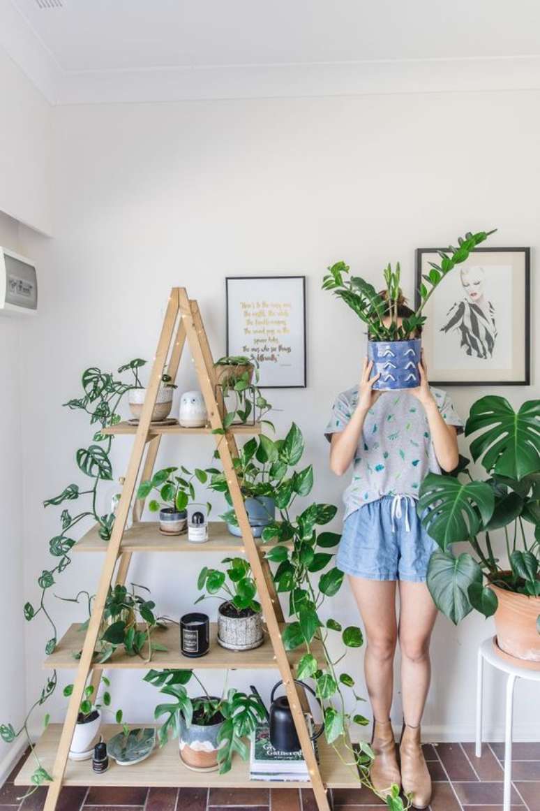 24. Um bom vaso de Costela de Adão chama a atenção até mesmo em um ambiente com muitas outras plantas. Foto: Kis Fot Kani