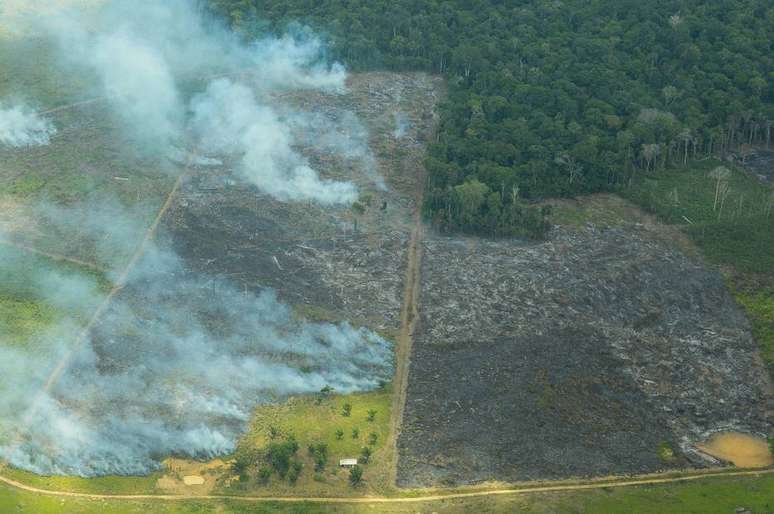 Queimadas na Amazônia, 60% acima da média dos últimos 3 anos, estão ligadas a desmatamento