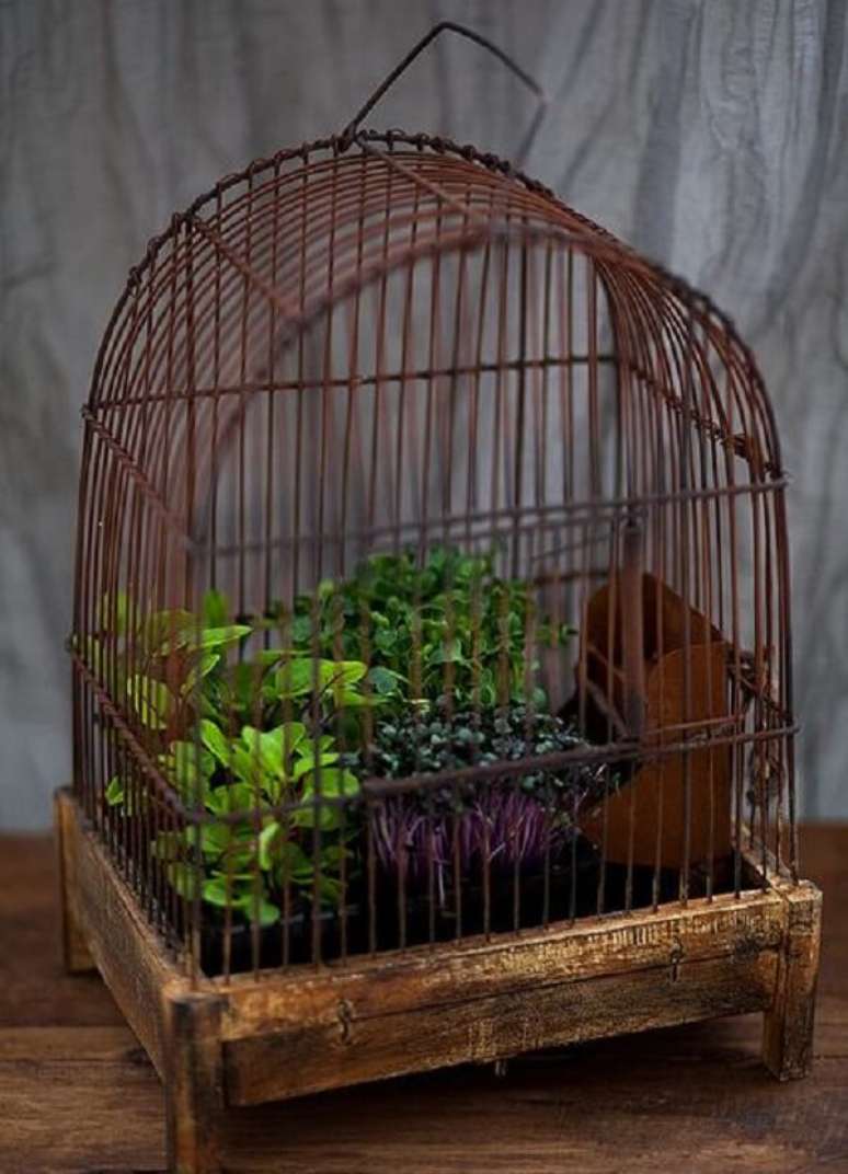26. Gaiola de passarinho serve de base para vasos de plantas. Fonte: Pinterest