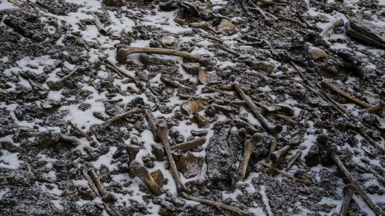 Os ossos de centenas de pessoas foram encontrados em 1942 por um guarda florestal