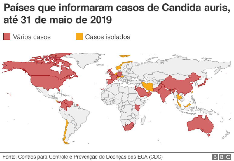 Mapa mostra casos de candida auris no mundo