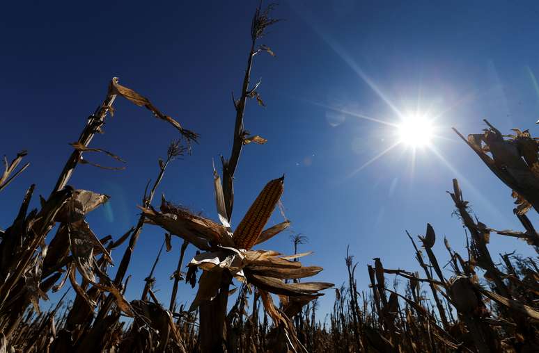 REUTERS/Agustin Marcarian
02/08/2019