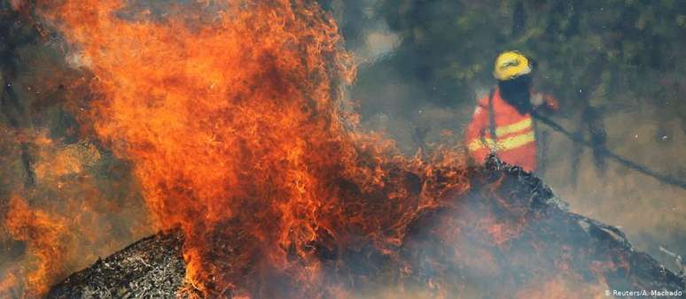 Incêndios florestais atingem Brasil e Bolívia