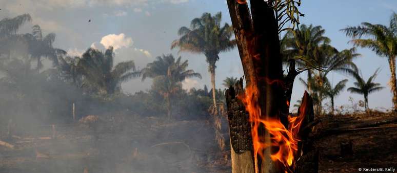 ONGs acusaram Bolsonaro de tentar criminalizar ambientalistas por incêndios na Amazônia sem apresentar provas