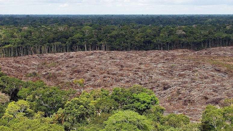 'A linguagem que ele (Bolsonaro) entende é o comércio. É, portanto, necessário deixar de importar produtos que destruam a floresta tropical', diz Katharina Dröge, deputada alemã
