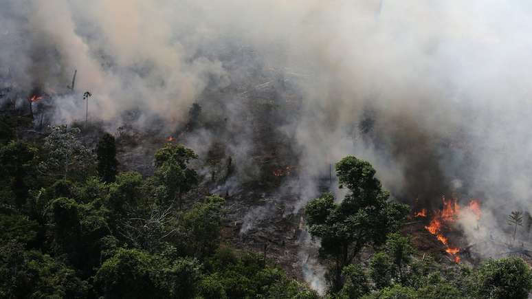 Número de incêndios em florestas brasileiras subiu 83% entre 1º de janeiro e 19 de agosto de 2019, na comparação com igual período de 2018