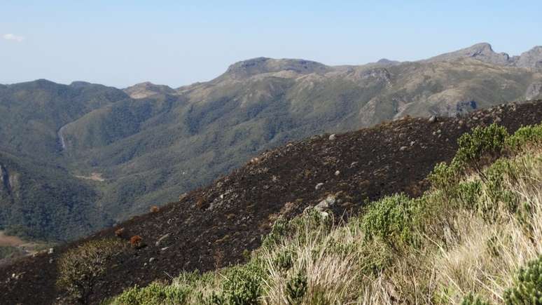 Trecho de mata atingido por incêndio