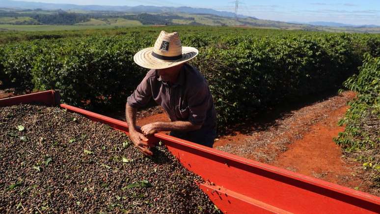 'A agropecuária brasileira não precisa expandir (a área utilizada) para poder crescer sua produção e poder suprir o mundo com uma demanda crescente de alimentos', diz Vieira