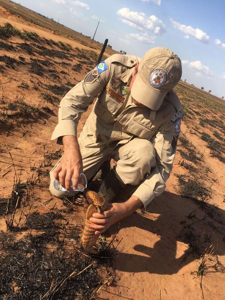 Imagem se transformou em símbolo das queimadas que afetam o Brasil, mas, segundo Pedro Ribas Alves, que aparece no registro, "incêndio não foi criminoso, não tinha a ver com desmatamento ilegal ou com floresta"