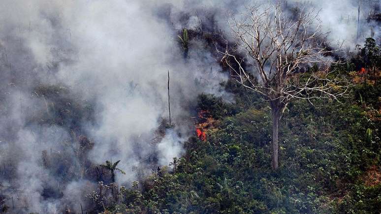 Incêndio na floresta amazônica, a 65 km de Porto Velho, em Rondônia, no norte do Brasil