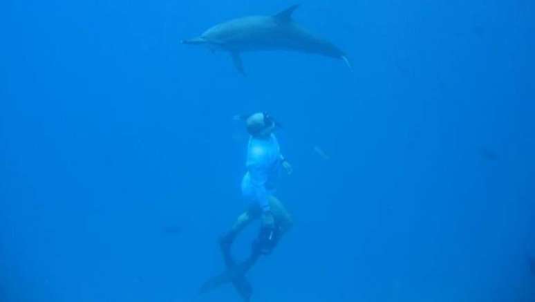 Transferência do servidor, que realiza estudos e pesquisas há décadas sobre golfinhos oceânicos e oceanografia na região, foi assinada no início deste mês