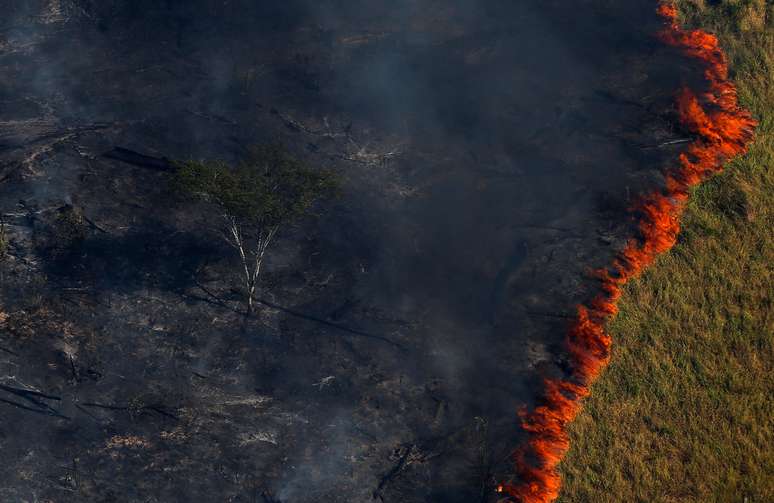 Floresta em chamas em Apuí (AM) 04/08/2017