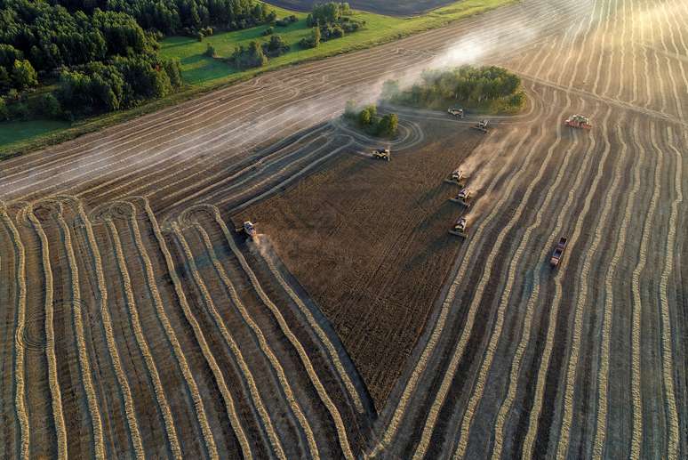 Vista aérea de colheita de trigo em fazenda particular de Solgonskoye nos arredores da aldeia siberiana de Talniki, na região de Krasnoyarsk.
REUTERS/Ilya Naymushin
23/08/2019