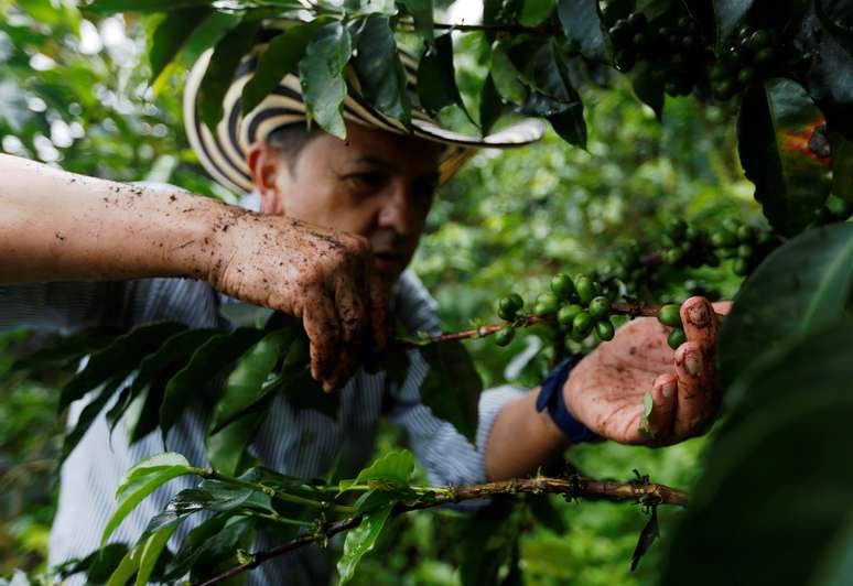 Cafeicultor em Pueblorrico, Colômbia 
11/03/2019
REUTERS/Luisa Gonzalez