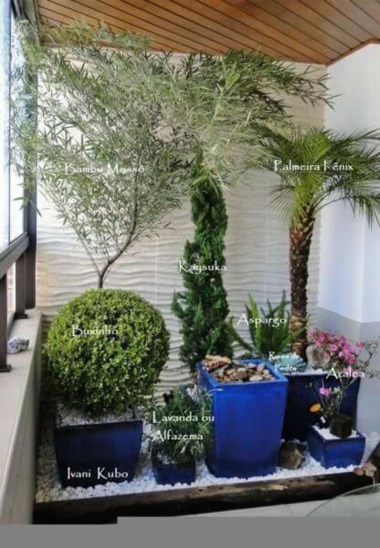 36. As plantas combinam perfeitamente com o vaso vietnamita &ndash; Por: Ivani Kubo