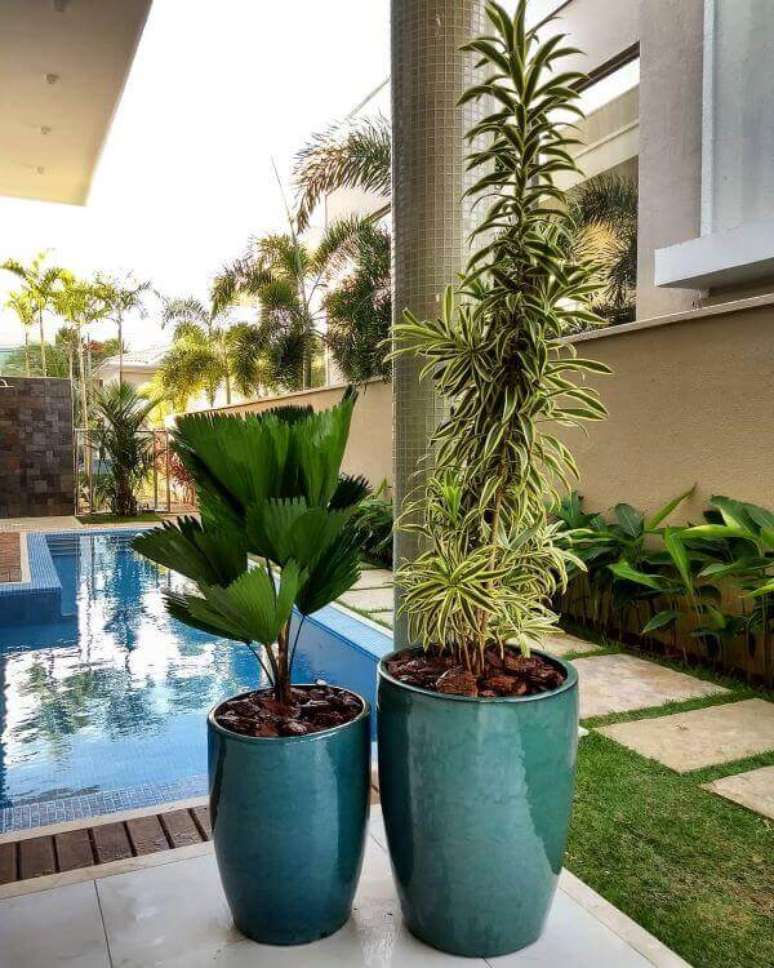 15. As plantas altas são lindas para o vaso vietnamita verde – Por: Pinterest