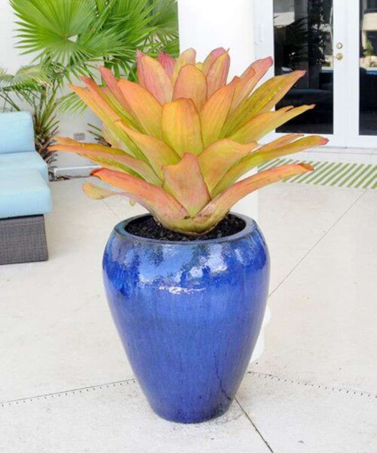 19. O vaso vietnamita original pode destacar sua decoração de forma única – Por: Pinterest